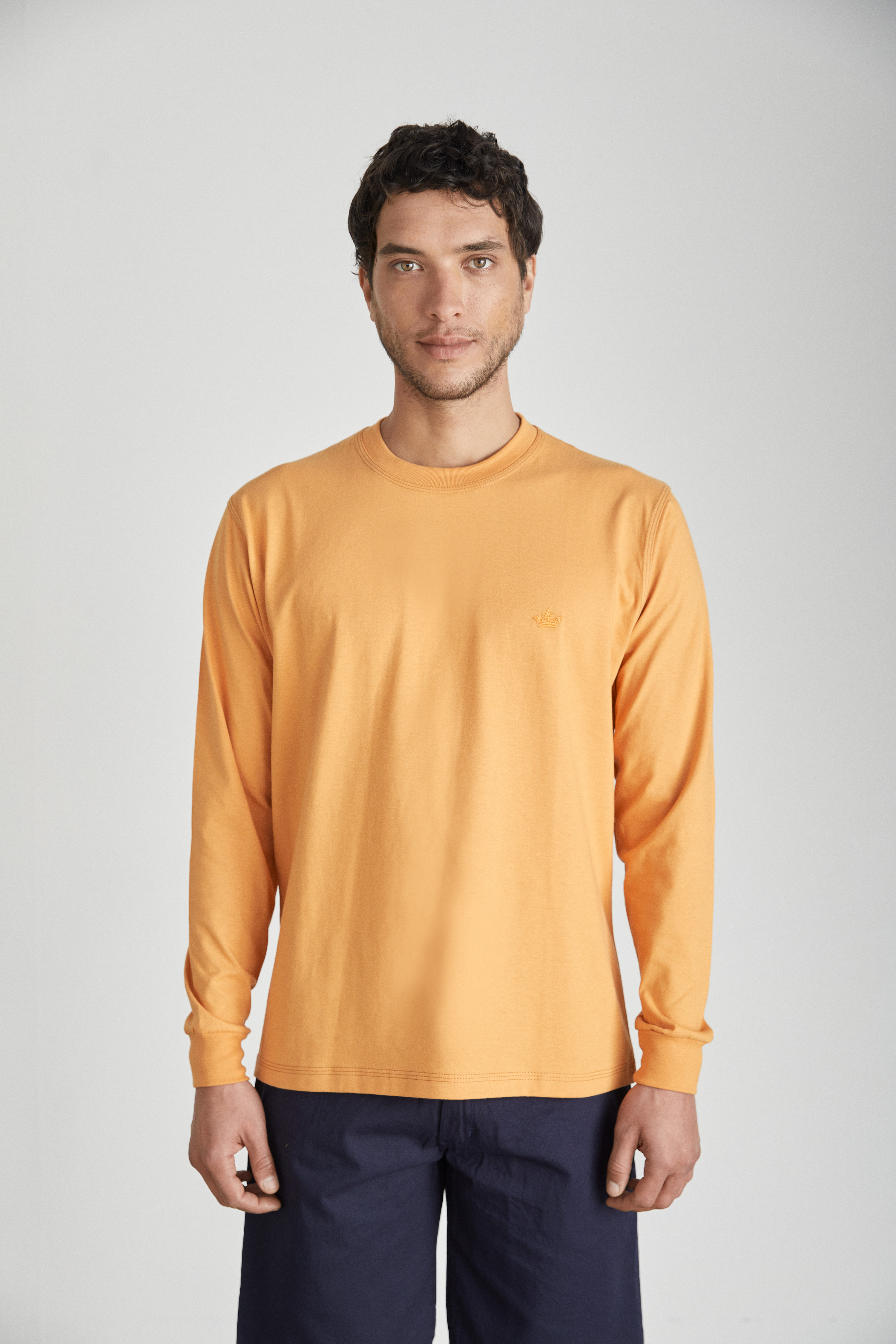 Remera Manga Larga Lisa