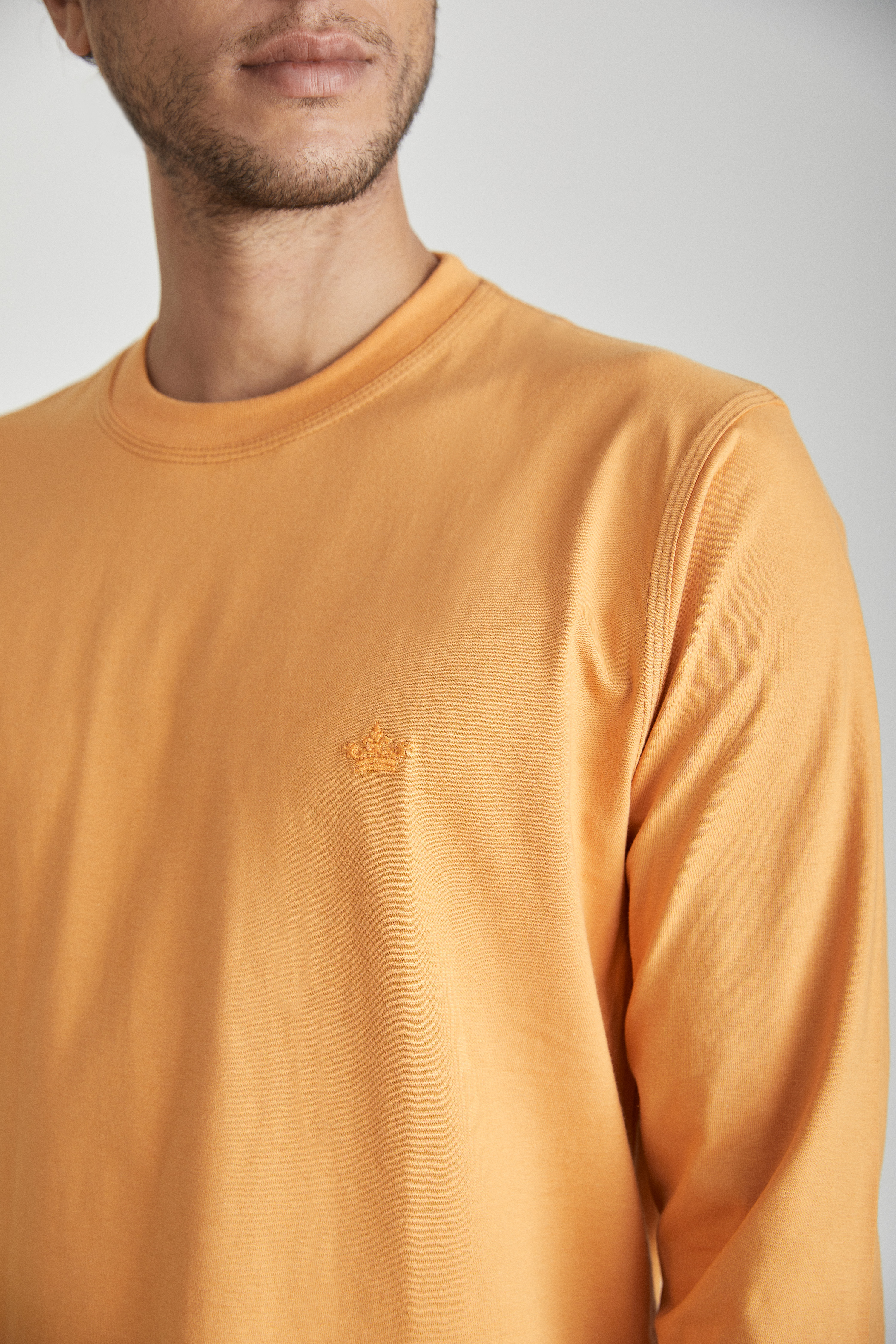 Remera Manga Larga Lisa