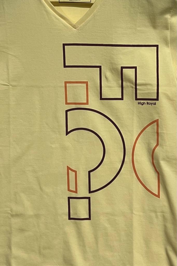 REMERA CUELLO V FUNCIONA