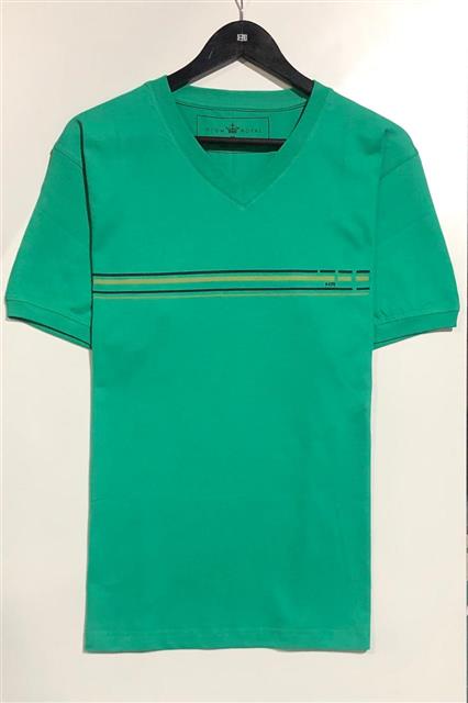 REMERA C/V ETAMPADA