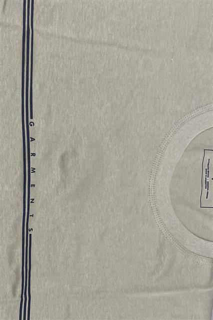 REMERA GARMENTS