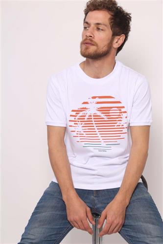 Remera Palmera