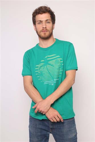 Remera Palmera